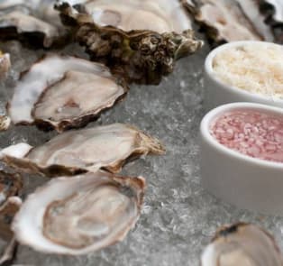 Oysters