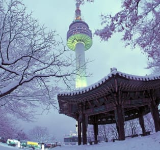 What can you do in winter?