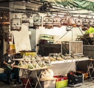 Browse legendary markets