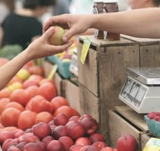 Farmers Markets