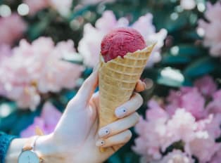 The 10 Best Gelaterias In Bologna