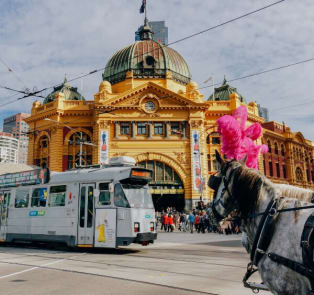 City Unscripted article image