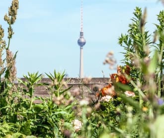 What To Do In Berlin This Summer - Things To Do In June, July And August