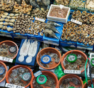 Shop At Seoul’s Biggest Fish Market