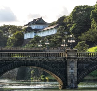 See Tokyo with a private guide