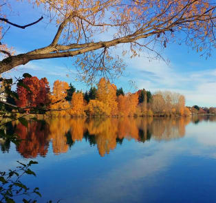 Green Lake