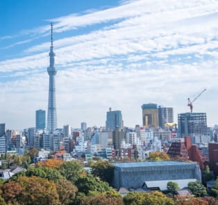 Tokyo is a capital city with routes throughout Japan