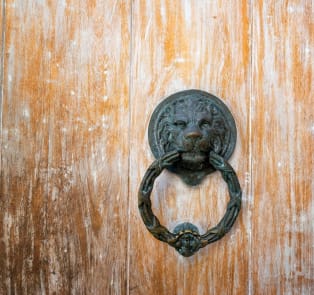The door knockers