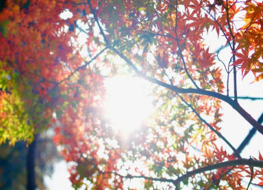 Dazaifu