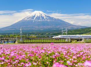Take a bullet train to Shin-Fuji Station