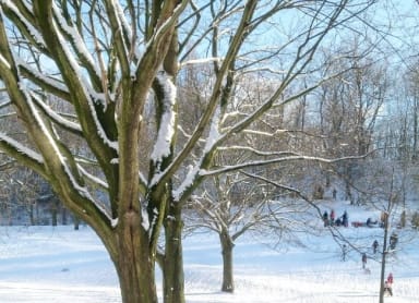 Best Things to Do in Berlin in Winter