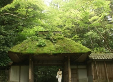 Honen in Temple