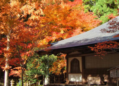 Kyoto Takao