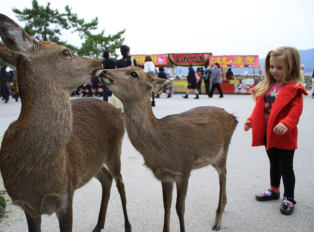 History and nature at Nikko National Park