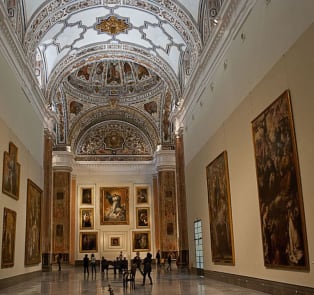 Museum of Fine Arts