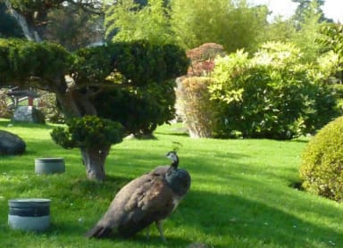 Jardin d' Acclimatation