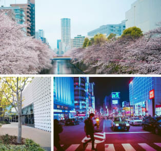 Tokyo - What you need to know before you go – Go Guides