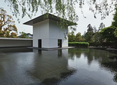 Discover the D.T. Suzuki Museum