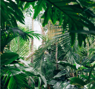 Botanical Garden