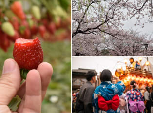 Spring in Tokyo: The ultimate experience of cherry blos