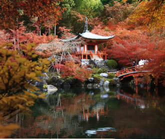 What To Do In Kyoto This Fall - Things To Do In September, October and November 2019