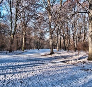 Go sledging at Viktoriapark