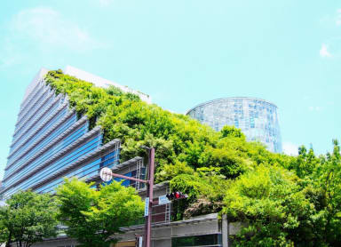 Tenjin Chuo Park/ACROS Building