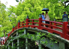 The Best Things to do in Fukuoka in the Summer