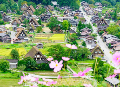Gifu