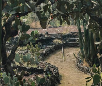 The Best Parks In Mexico City