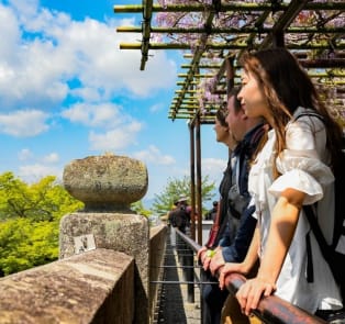 Kyoto tour with a local