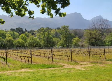 Wine farms