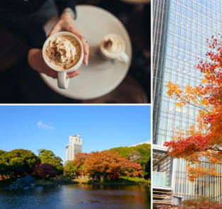 Unwinding in sidewalk cafes during fall