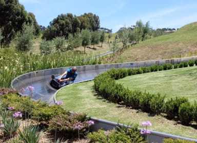 Thrills for the Speed-Freaks