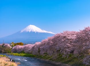 Embark on a Fuji tour when visiting Japan