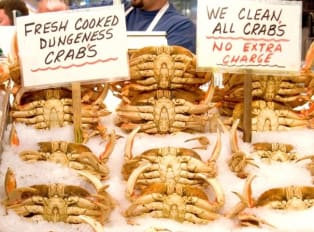 Must Eat Foods In San Francisco And Where To Eat Them