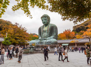 Find Great Buddha with City Unscripted hosts