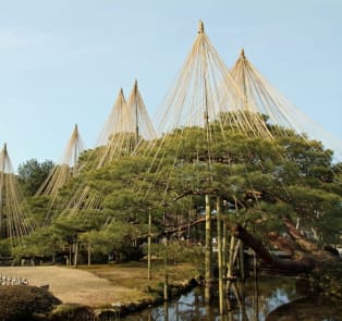 Stroll through Kenroku-en Garden