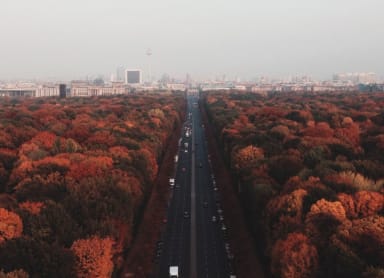 Experience the changing leaves in Berlin parks