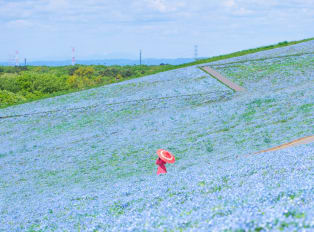 Hitachi Seaside Park