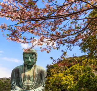 The good fortune of the Great Buddha in Kamakura, Japan
