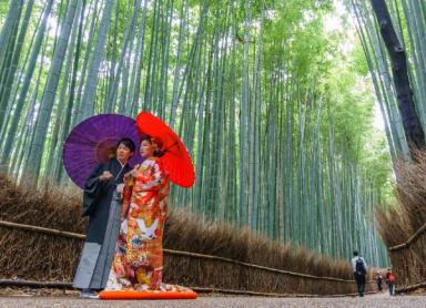 Things To Do In Kyoto In June