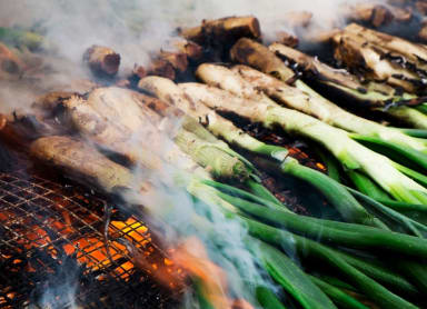 Calçots