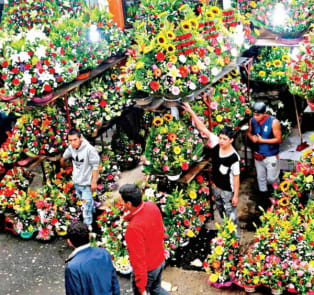Mercado de Jamaica