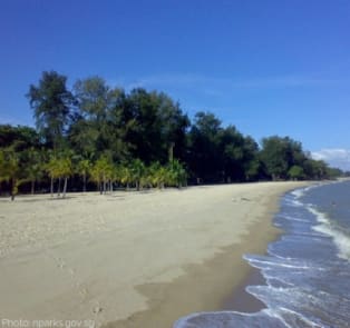 East Coast Park