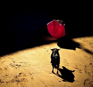 Learn more about bullfighting at Campotoro