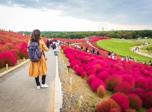 A short journey of about 30 minutes from Tokyo