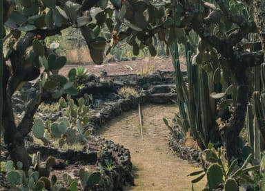 The Best Parks In Mexico City