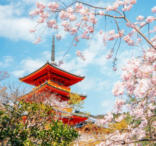 A pink cherry blossom pagoda takes inspiration from the delicate beaut