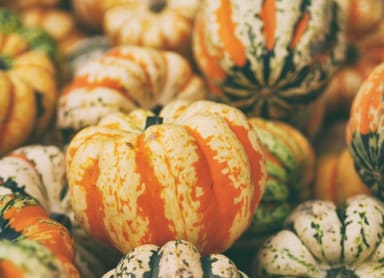 Celebrate halloween